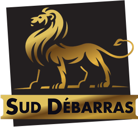 Entreprise Sud Débarras Logo Tete Lion Or
